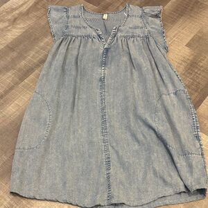 gentle fawn denim dress
